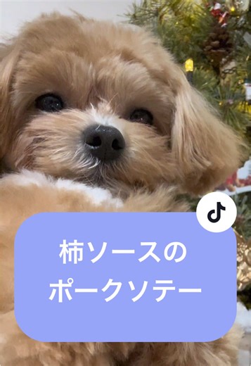 柿ソースのポークソテーとマヨチーズしいたけ