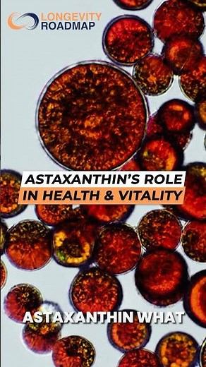 Astaxanthin’s Role In Health & Vitality