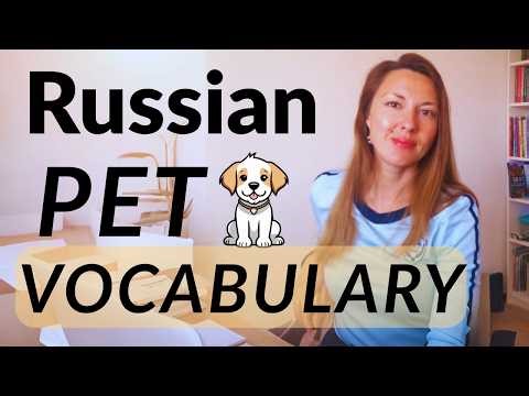 Intermediate Russian Vocabulary - PETS | Русский язык - Средний уровень