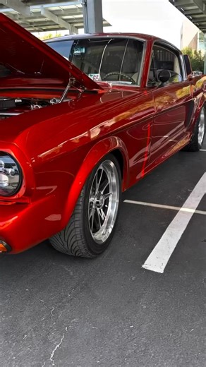 8.6K views · 304 reactions | 1965 Mustang 2+2 Fastback — pure American legend. From the chrome lines to that iconic fastback curve, this beast defines classic performance and timeless style.   #FordMustang #65Mustang #FastbackLegend | RJ fbreels car show | Facebook