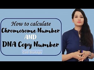 How to Calculate Chromosome number and Copy Number | Cell Biology | Inheritance Biology |