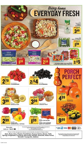 Food Lion Weekly Ad 10/14 - 10/20