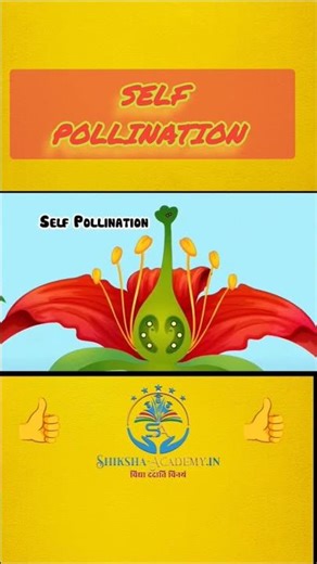 "Self Pollination kya hota hai? | 15 sec me samjho!""Plant ka magic! Self Pollination Explained 🌼"