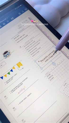 Planner Digital 💖✨ #plannerlayout #tablet #digitalplanner
