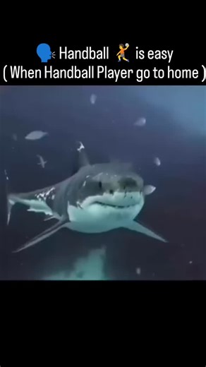 AKSHAY AHLAWAT on Instagram: "#handball #olympics #paris2024 #ehfcl #legend #handballbeach #elm #handballplayer #china2024 #basketball"