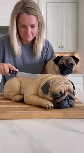 😂🍰 He thought she was cutting HIM! 😱🐶 She baked a cake that looks exactly like her pug — same face, same fur, same everything! 😳 When she started slicing it, the poor guy froze… convinced it was him! 🐾🤣 His reaction? Absolute gold! 💛 #DogOrCake #PugCake #FunnyDog #CakeOrDog #DogReaction #RealOrCake #DogMeme #CakeShock #RealisticCake #HyperrealCake #CakeArt #DogLife #PetReaction #ViralDogs #ComedyShorts #DogContent #FunnyPets #ViralVideo #FYP #WowMoment | PawTales