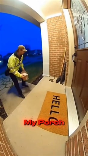 Delivery Guy FIGHTS a Snake on My Porch With a Broom 😳🐍 | 3AM Doorcam Footage
