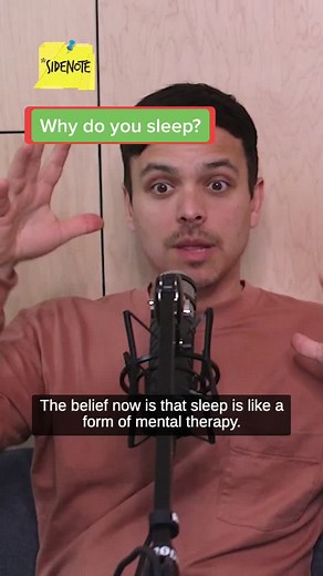 Noradrenaline and the Science of Dreaming