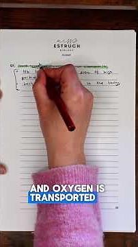 A-level | Haemoglobin and Oxygen Transport