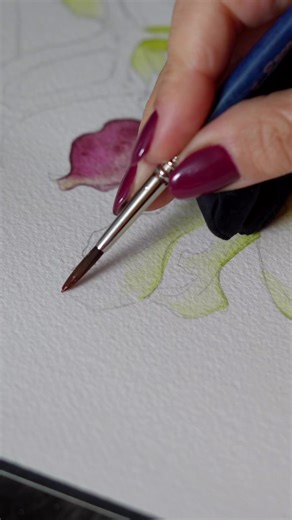 51K views · 971 reactions | Do you know the name of the flower I am painting here?  I actually know the general name but would love to know the species! If there are any botanical experts here - please help! | Anna Bucciarelli Studio | Facebook