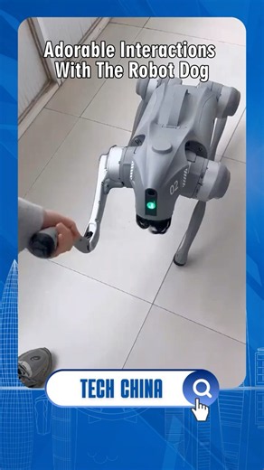 It’s amazing how this robot dog shakes hands and makes heart shapes. #technology
