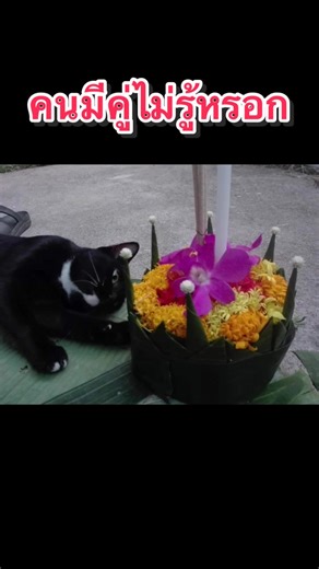 nice_niceforyou บน TikTok