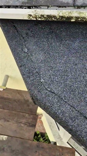 keep your rubber nonsense and your 2 days course 👍 felt felt felt #construction ##feltroofing #diy