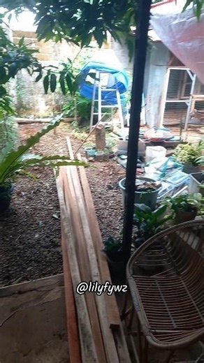 Memperbesar Kandang Ayam ♡#ternakayam #pemanfaatanpekarangan #dapurkonten