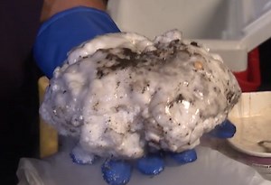 Create a Comet with Dry Ice Activity - NASA Science