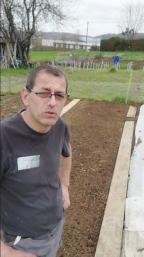 plantation d'oignons jaune, rouge et échalotes.