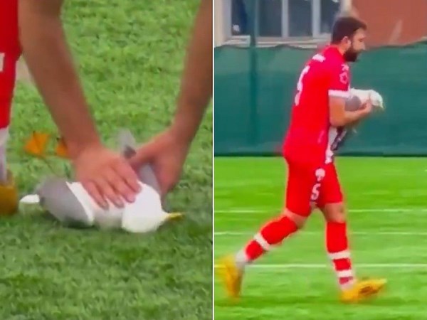 Soccer player uses CPR on seagull after bird stunned by ball