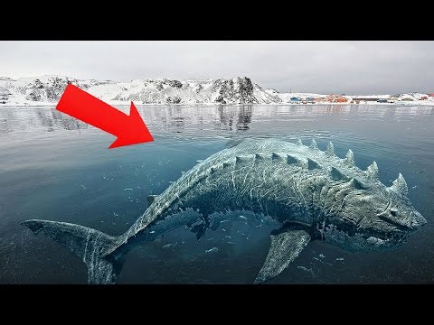 THEY STILL HAVE A HEARTBEAT: 5 Extinct Animals Found Frozen in Antarctica!