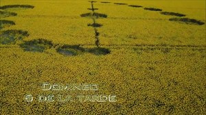 Este domingo, acompaña a Jaime Maussan en Tercer Milenio, el programa que explora los grandes enigmas de nuestro tiempo. 🕕 6:00 pm por Maussan Televisión. | Jaime Maussan