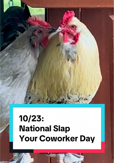 Celebrating National Slap Your Coworker Day