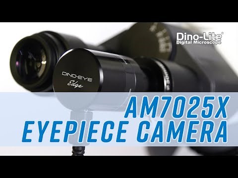 Dino-Eye AM7025X Edge Series 5MP Eyepiece Camera (2020)