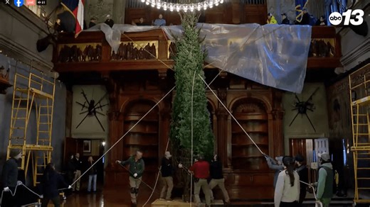Biltmore Estate kicks off Christmas season with annual tree raising