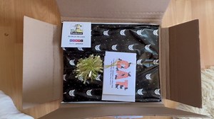 PetArt.us Ocicat – Personalized Art Print – Custom Pet Name, Gift for Cat Lovers or Pet Memorial, Gift Wrapped Home Decor, Handmade in the USA