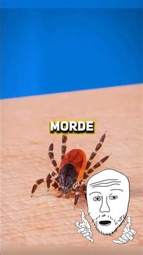THIS IS HOW TO REMOVE A TICK WITHOUT GETTING AN INFECTION!😳😱