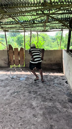 Boosting Pig Health with Multivitamin Injections