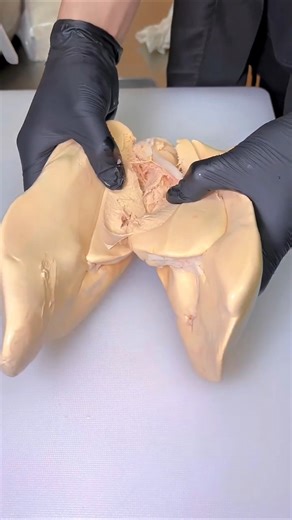 Immersive video of slicing a large goose liver