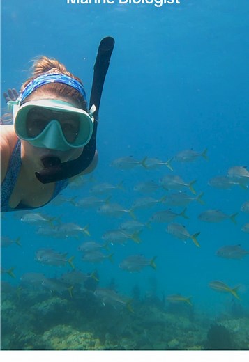 Essential Classes for Aspiring Marine Biologists