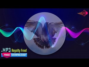 Pigeon Flapping Wings Bird Flap Sound Effect Noise Audio