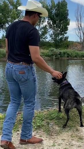 Wrangler Butts: Celebrating Cowboy Culture with Wrangler Jeans