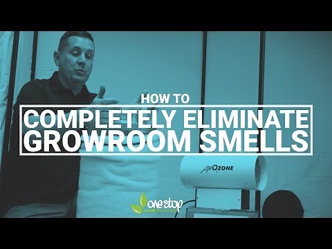 How to Completely Eliminate Grow Room Smells