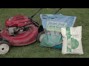 How to Care for Your Lawn - The Basics