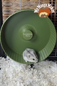 Silent Hamster Wheel Dual Colour, Mouse Wheel, Gerbil Wheel, Hamster Accessories, Small Animal Accessories - Etsy