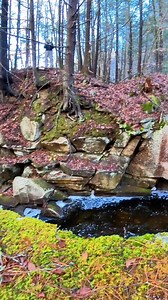 1.2K views | Cushman truss railroad bridge once stood here over...