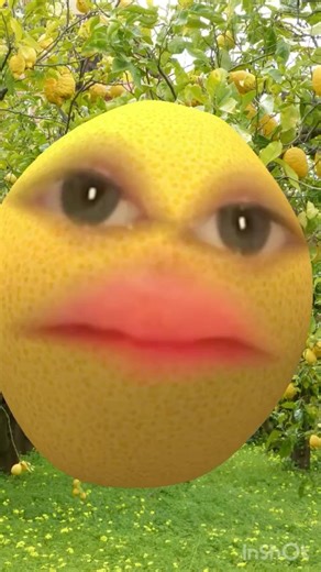 Lemon Tree