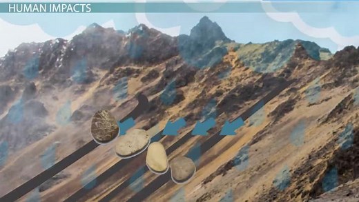 Rill & Gully | Definition, Formation & Impact