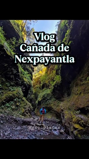 2.3K reactions · 231 shares | Un maravilloso lugar cerca de amecameca y el paso de Cortés  Si te gusta la aventura, la naturaleza y en especial el agua, tienes que venir a este lugar 量﫶 #naturaleza #hike #vlog #hike #cañadadenexpayantla #edomex #bosque | Magic places | Facebook