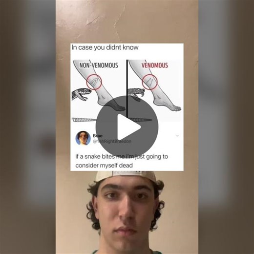 L Bozo Ratio (@lbozoratioyourlifeisbad1)’s videos with September - Earth, Wind & Fire