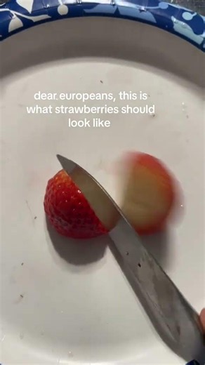 The Strawberry Difference Is Actually Crazy 🍓💀 i.hate.school384 #straberry #europe