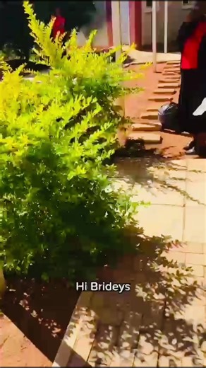 *Proverbs 31:16-17 (NIV)* *