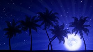 Palm Trees Swaying Wind Moon Animated Stock Footage Video (100% Royalty-free) 717415 | Shutterstock
