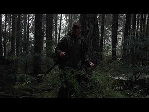 9 Video's Of Sasquatch. Weird Lights And More