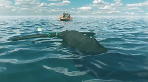 37K views · 217 reactions | It's done! Our "How to Save a Whale" video is ready to do its work. Enjoy and please help share this far and wide in the hopes of increasing awareness about whale entanglement and collision for the sake of whale AND boater safety. More information is available at our page www.HowToSaveAWhale.org Made possible by the Sitka Foundation #SeeaBlowGoSlow #HowtoSaveaWhale | Marine Education & Research Society | Facebook