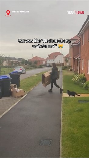 22K views · 183 reactions | Girl pulls a hilarious moving box prank on her cat! #viralsnare #prank #funnyprank #catprank #foryou | ViralSnare | Facebook