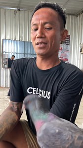 209K views · 5.7K reactions | REVIEW "HITMEN" Juara 2 Event PMKN Total 200Jt Lapak Kolong Padel Tegal #syifanajwamerpati #pigeon #pigeonrace #pigeonracing #merpati #merpatikolong #merpatikolongbebas #merpatitinggian #merpatiku #merpatilovers #fbvideo #kenwood #fbreels #reels #fbpro #jangkauanluas | Syifa Najwa | Facebook