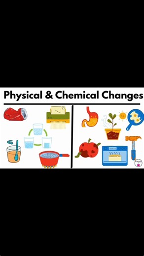 Physica and Chemical Changes #chemistry #stem #education #scienceteacher #school #drbscience