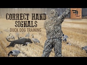 Correct Hand Signal - Duck Dog Training
